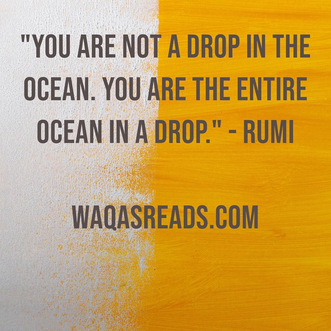 you-are-not-a-drop-in-the-ocean-you-are-the-entire-ocean-in.